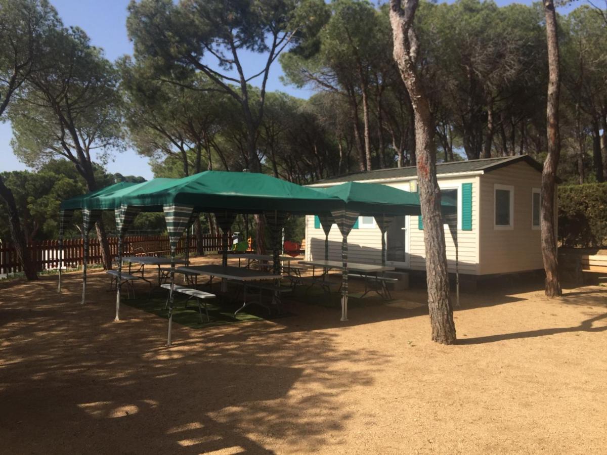 מלון סנט אנטוני דה קלנג'ה Camping Treumal מראה חיצוני תמונה